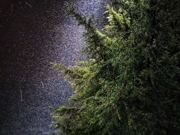 IMG-20231204-WA0025-01